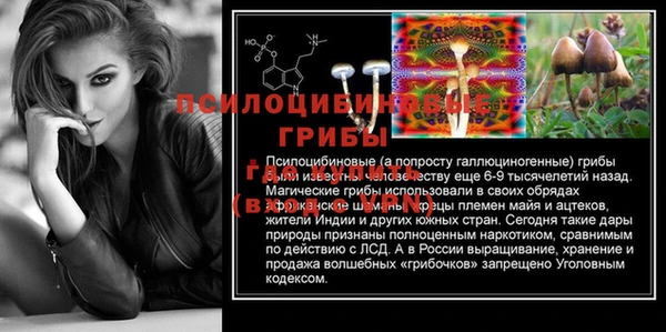 спиды Белоозёрский